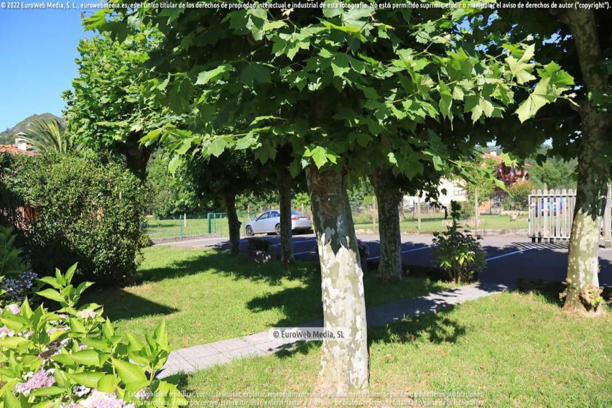 El Puentin Del Sella Con Wifi Y Parking Gratuito Apartment Cangas de Onis Exterior photo